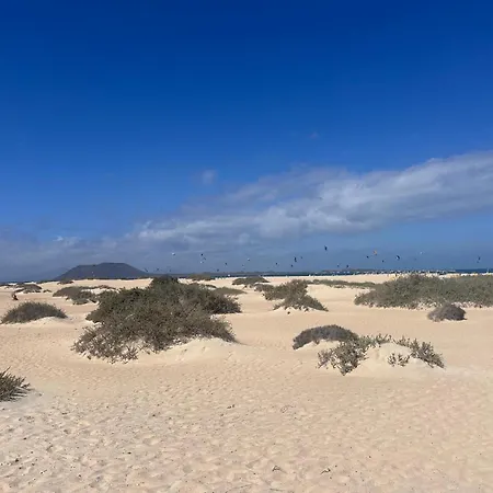 Natural Renacer Zen *