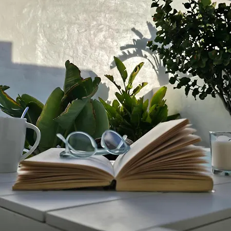 Villa Natural Renacer Zen *