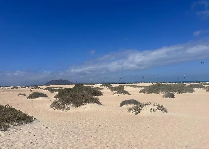 Natural Renacer Zen *